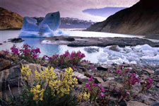 Canada-Yukon&Alaska-Tatshenshini River Rafting